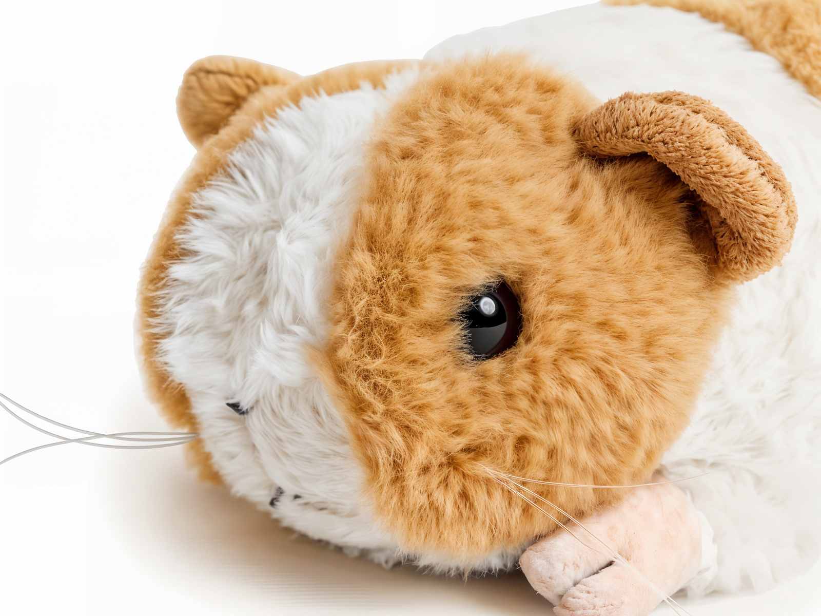 Vibrating Weighted Lap Buddy - Guinea Pig