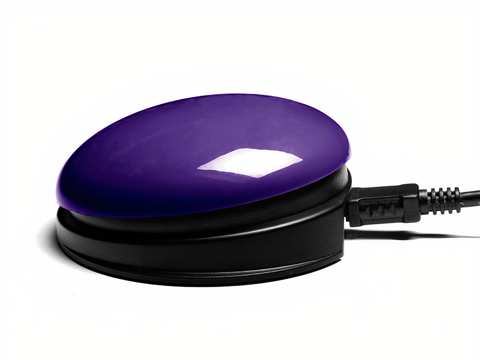 USB Switch Purple